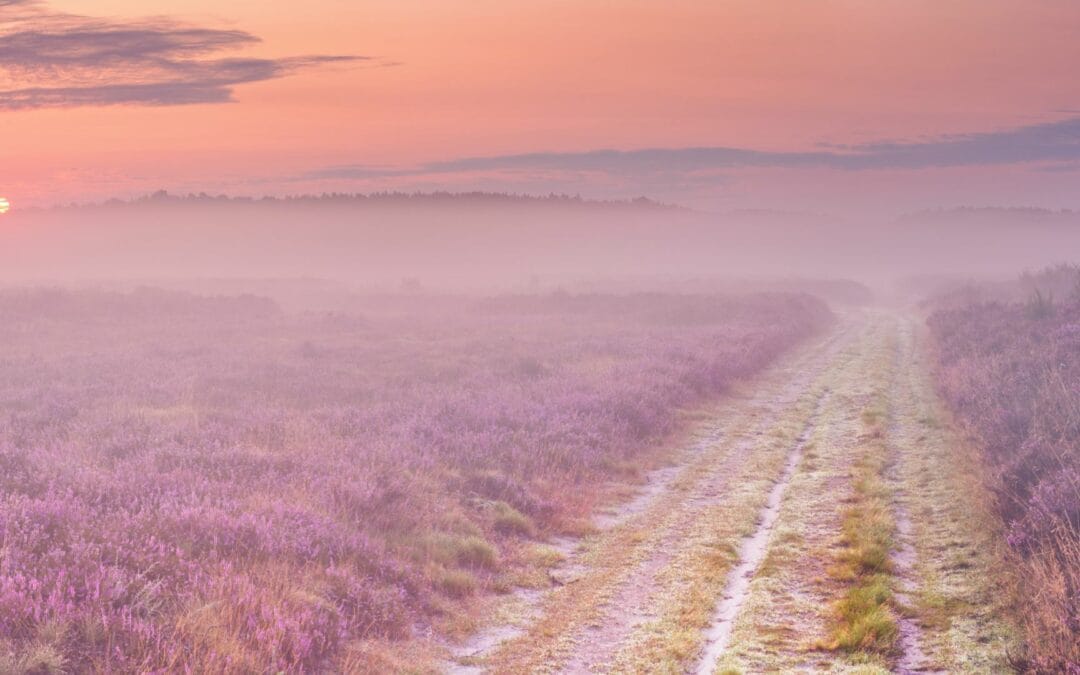 Rozwój duchowy, czym jest droga do wewnętrznej transformacji