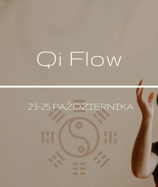 qi flow warsztat rozwojowy oferta
